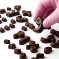 Arabic Alphabet Chocolate Mould — Tray 3 of 3